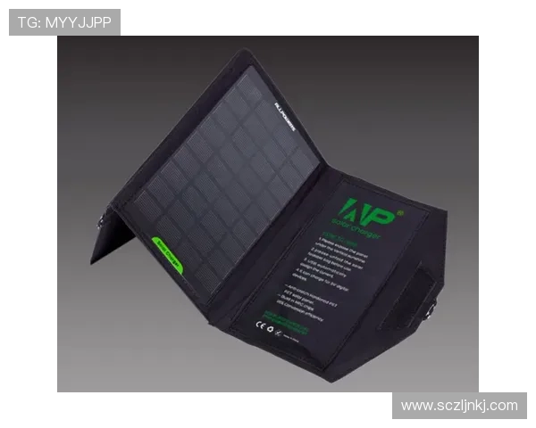 天猫与太阳预测的全面对比分析及未来发展趋势探讨